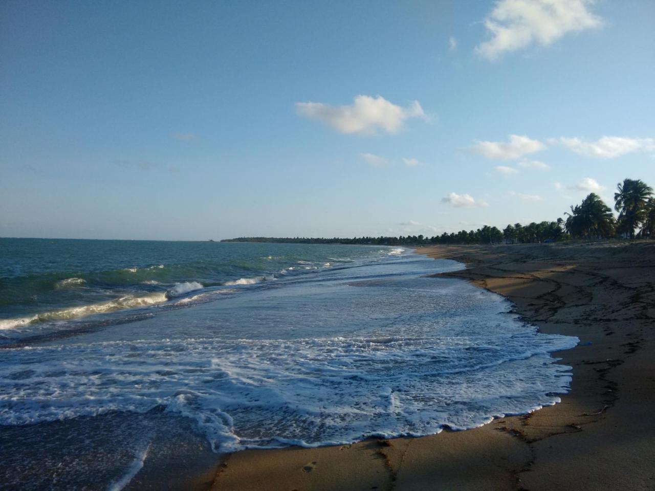 Chale Das Palmeiras Tamandare Bagian luar foto